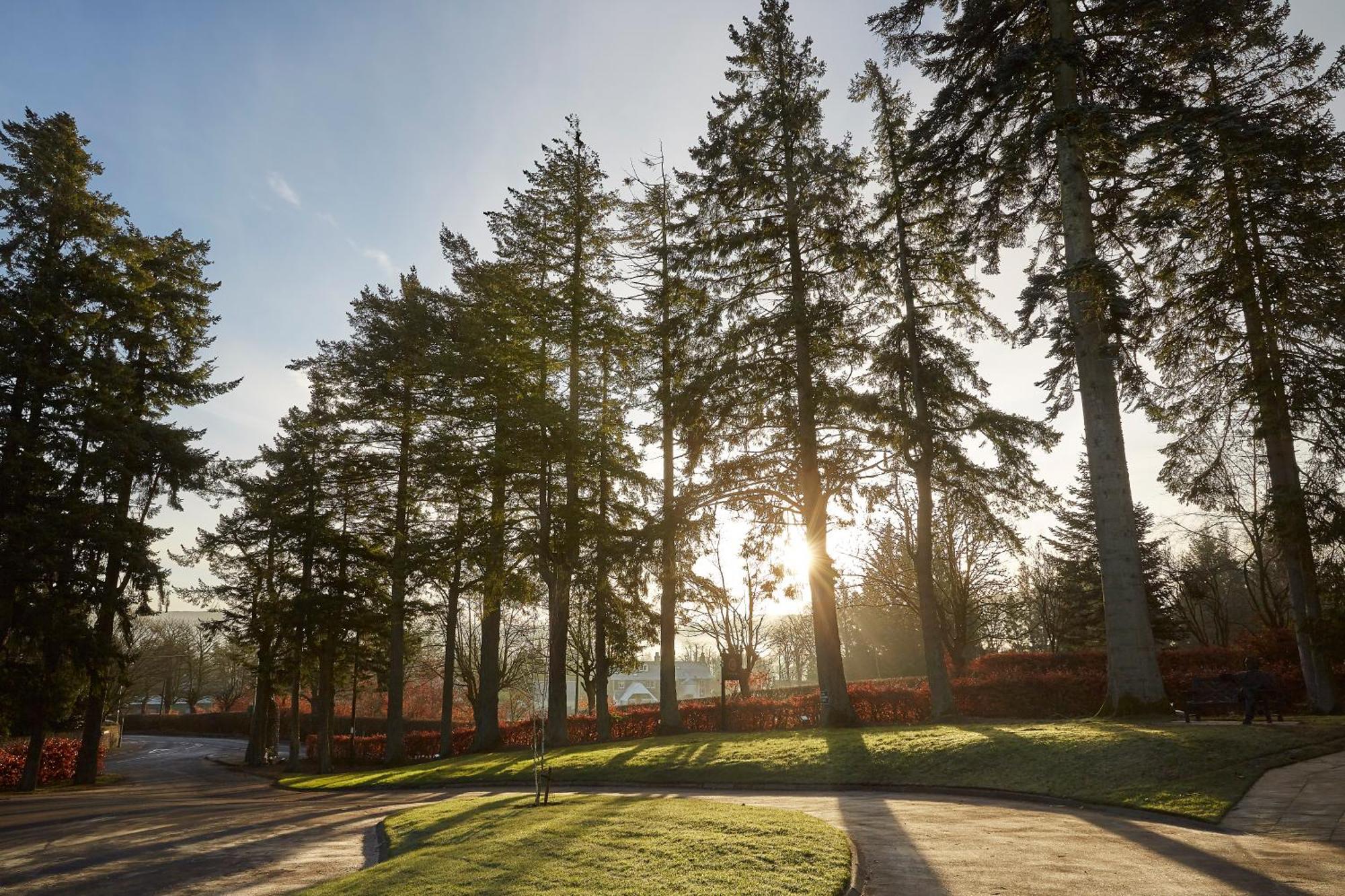 Cairn Lodge Auchterarder Exteriör bild